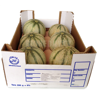 Meloun Cantalupo - Itálie (bedna 5-6 ks, cca 7 kg)